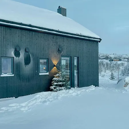 Modern Family By Soleisloyfa In Sirdal *